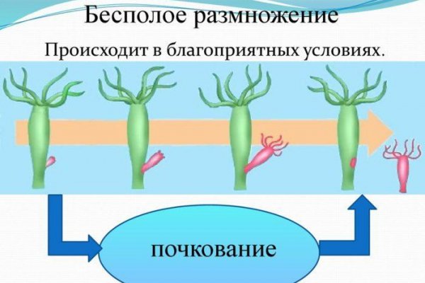 Зеркало на кракен